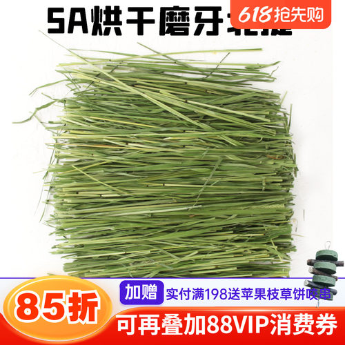 兔子龙猫主食牧草北提提草提默西