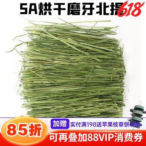 兔子龙猫主食牧草北提提草提默西