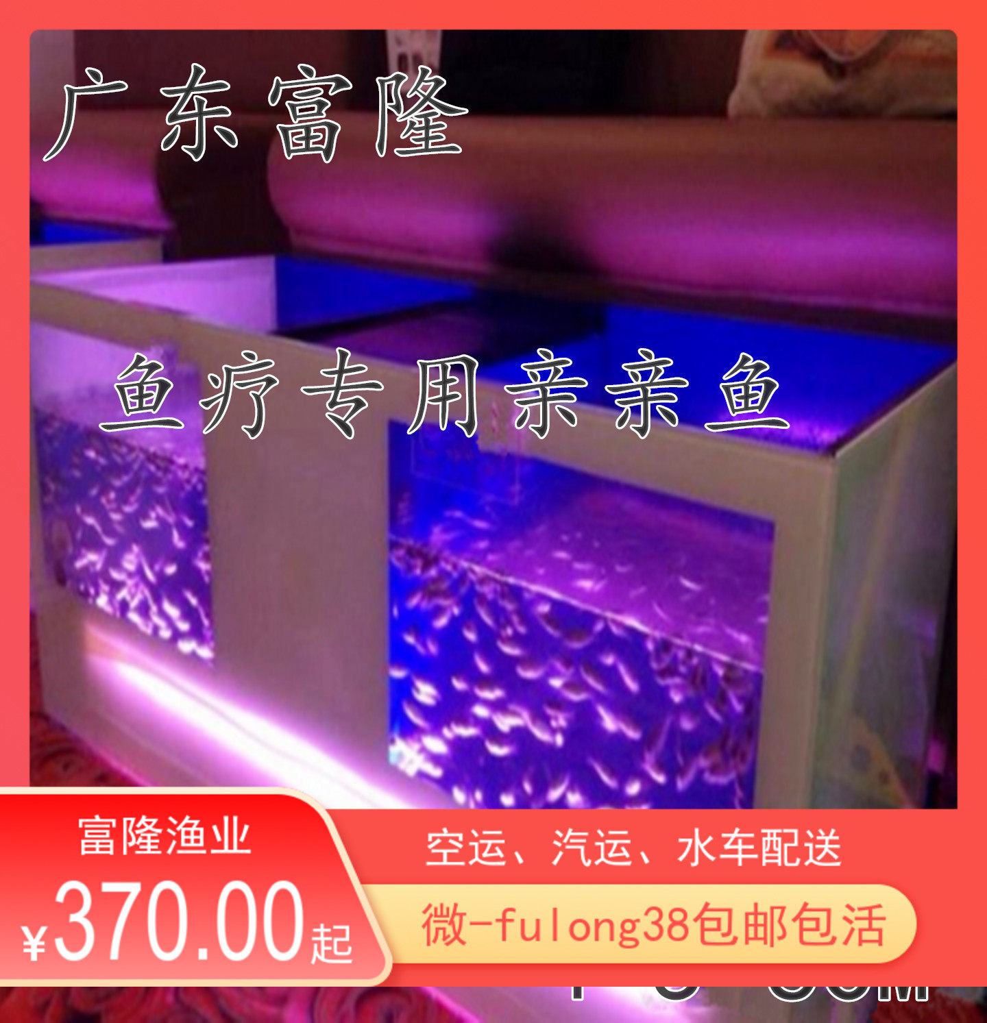 广东专用星子泡脚活体包邮鱼疗