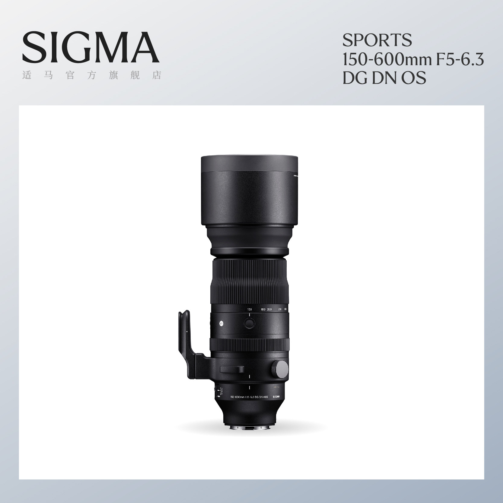 Sigma适马150-600mm F5-6.3 DG DN OS