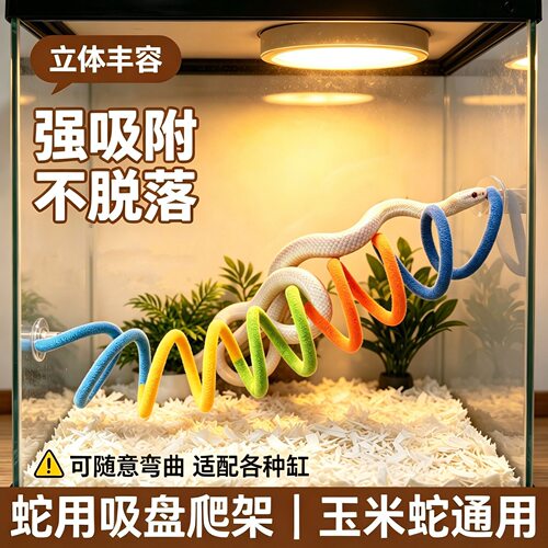 新款彩虹色蛇攀爬绳螺旋吸盘爬宠支架玉米蛇玩具壁虎蜥蜴休息站台
