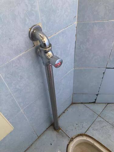 厕所冲水阀手按式蹲便器冲洗阀门开关延时阀卫生间大便器按压便池