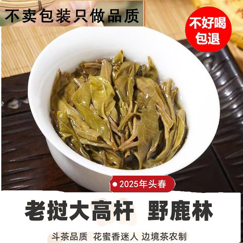古树茶普洱茶散装云南易武边境丰沙里2017年头株古树老挝高杆古树