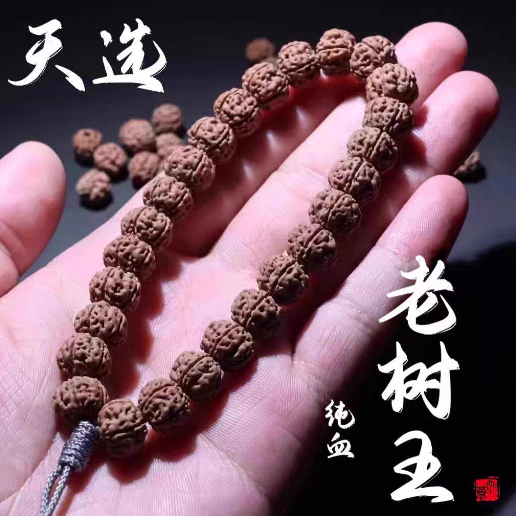 收藏级纯血老树王小金刚菩提子手串单圈原籽爆肉双龙纹男女手串