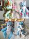 定金链接兽设玩偶定制furry人偶幻想生物手作玩偶等身福瑞抱偶