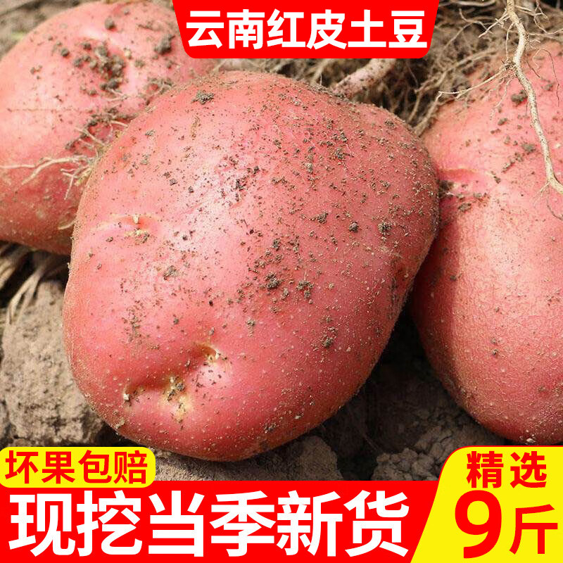 1�� ��С������50-100g����ͷ��ƫС ���Ϻ�Ƥ����ũ����ֲ��Ŵ����