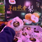 新鲜水果日本引进都乐羊脂秋香梨冰糖梨梨子礼盒7斤多地顺丰 包邮