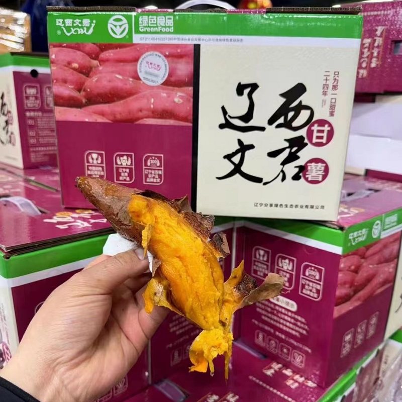 现货东北特产红薯地瓜稀瓤沙地辽西甘薯辽西文君地瓜多地顺丰包邮