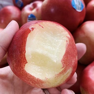 新鲜水果进口油桃澳大利亚桃驳李桃子当季蜜桃5斤多地顺丰包邮