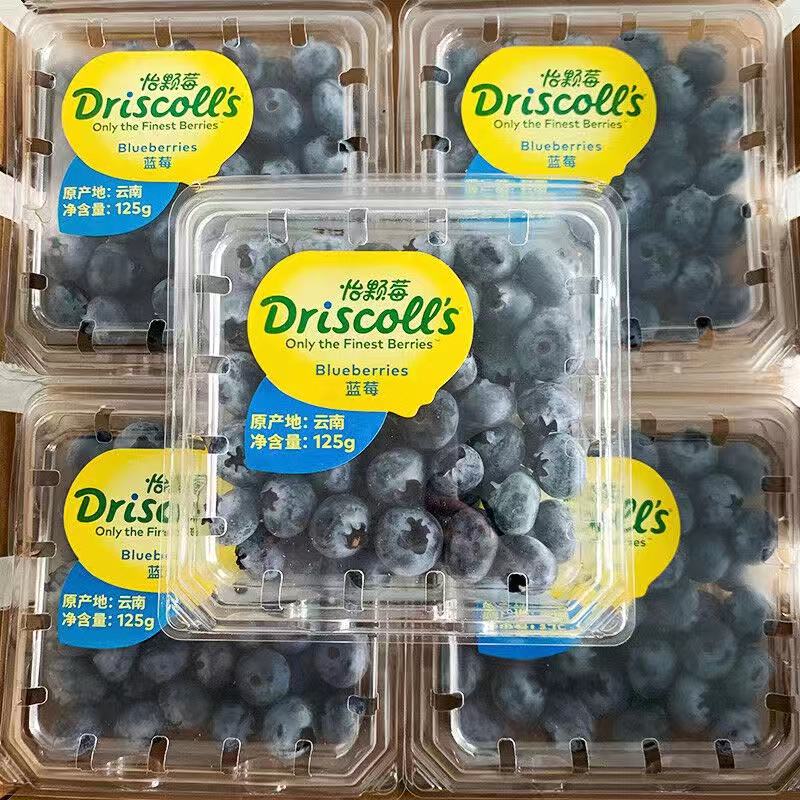 Driscoll怡颗莓云南蓝莓4盒斤装