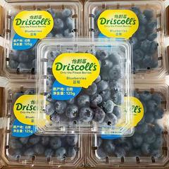 新鲜水果Driscoll怡颗莓蓝莓蓝梅云南蓝莓4盒每箱1斤多地顺丰包邮