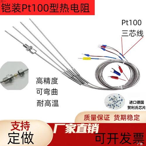 铠装热电阻PT100进口测温芯