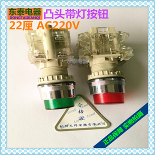 1C绿色T2ILG TEND天得22厘红色T2ILR 1A带灯凸头按钮开关 原装 正品