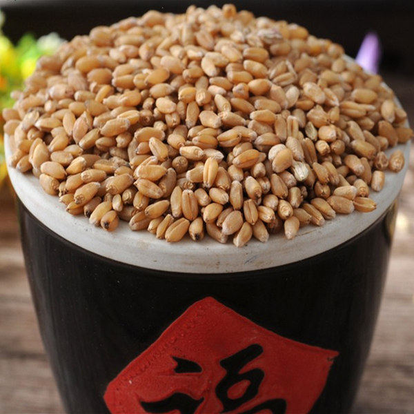 新带皮小麦粒农家自种麦子麦芽糖麦苗原料猫草鸡鸭鹅鸽子饲料 5斤,粮油调味/速食/干货/烘焙,特色米/面粉/杂粮,淘宝优惠券,粉丝福利购,淘宝优惠卷