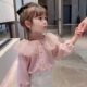儿童卫衣打底衫 2024女童春秋装 宝宝娃娃衫 长袖 小女孩上衣潮 新款