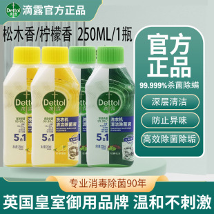 滴露洗衣机槽清洁剂250ml除垢杀菌清洗污渍滚筒清洗 官方正品
