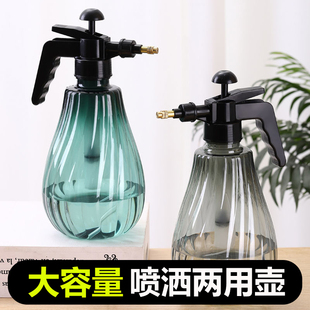 喷水壶养花小瓶 喷壶浇花家用压力洒水壶喷雾器浇水清洁专用气压式