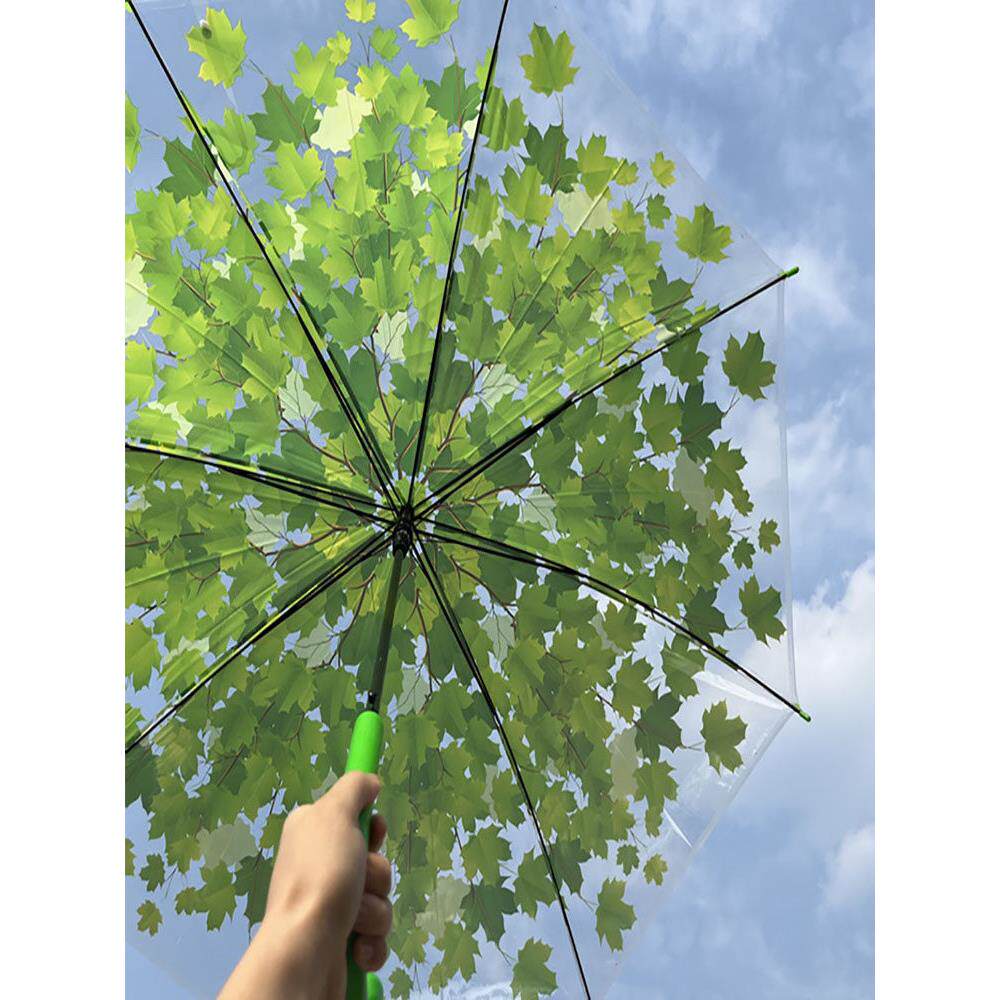 韩国创意加厚透明伞折叠女雨伞文艺小清新长柄学生网红晴雨两用伞