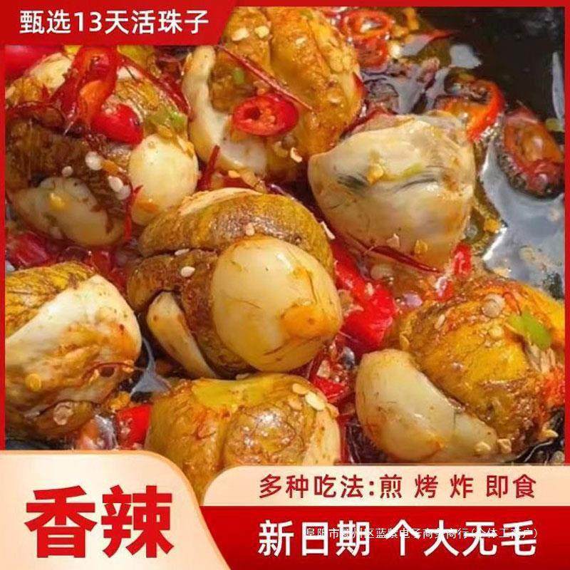 五香真空包装新鲜天香辣开袋鸡蛋活珠子胚蛋鸡无毛熟钢化即食蛋,水产肉类/新鲜蔬果/熟食,活珠子/毛胚蛋,淘宝优惠券,粉丝福利购,淘宝优惠卷