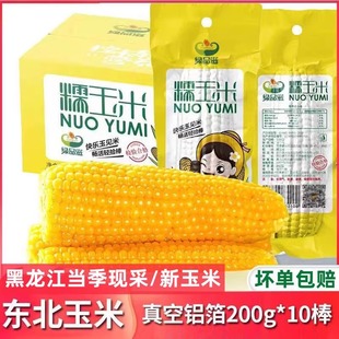 绿品滋糯玉米同款 200g早安大苞米玉米棒 绿牧山玉米新鲜糯玉米10