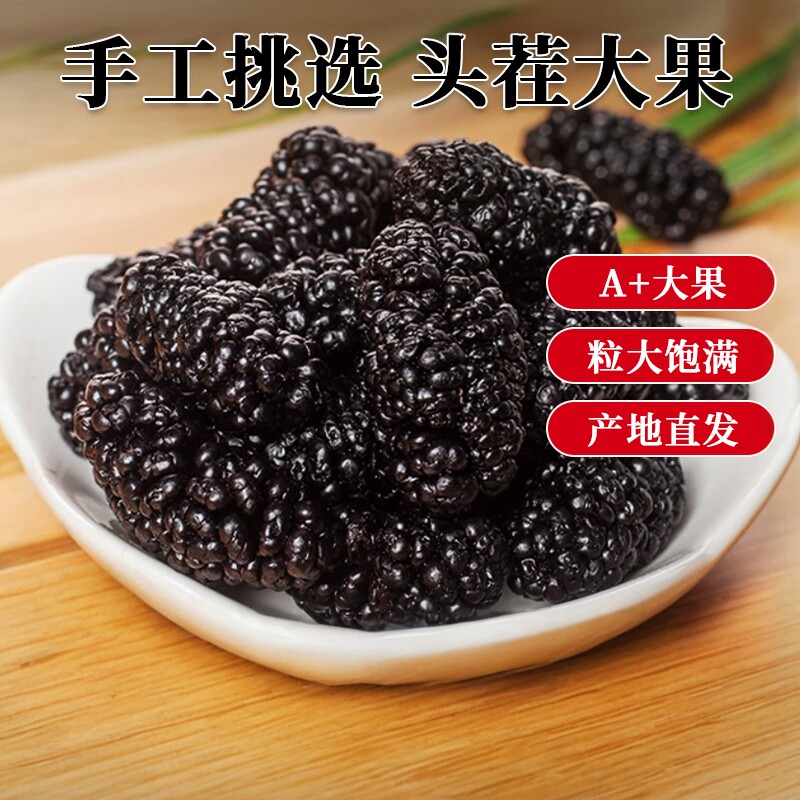 新货桑葚干500克新鲜即食新疆桑果干黑桑椹特级黑桑葚果无沙免洗
