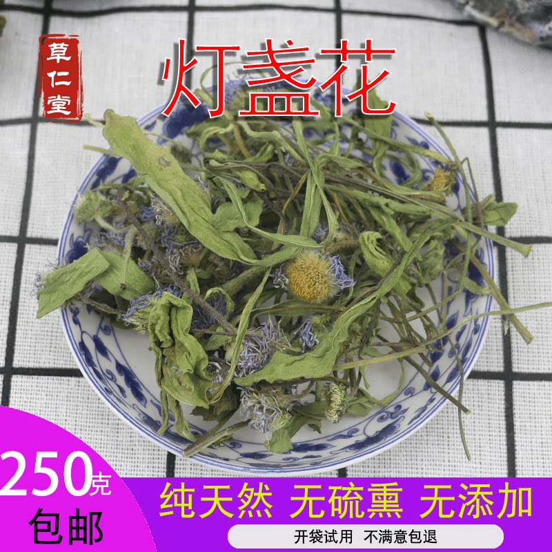 2024年新货云南红河野生中药材灯盏花 灯盏细辛250克包邮