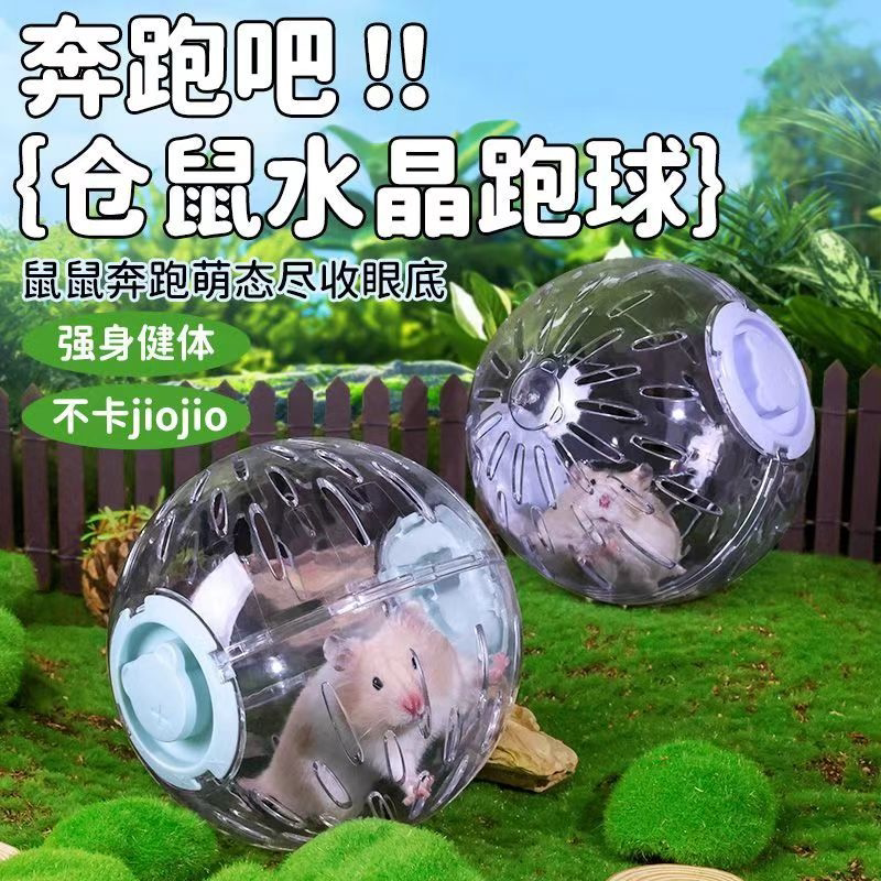 仓鼠玩具跑球跑轮滚轮运动球金丝熊用品跑步球透明外带跑球溜鼠