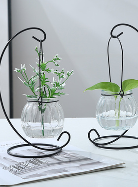 创意铁架水培绿萝玻璃花瓶容器盆办公室内桌面绿植现代摆件装饰品