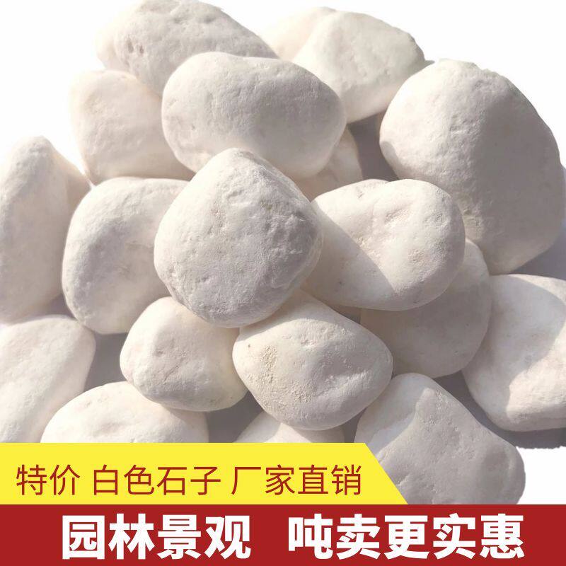 多肉花盆装饰小石头庭院阳台枯山水鹅卵石园艺造景装饰小白色石头