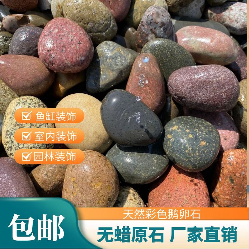 天然彩色水培底材包邮造景石