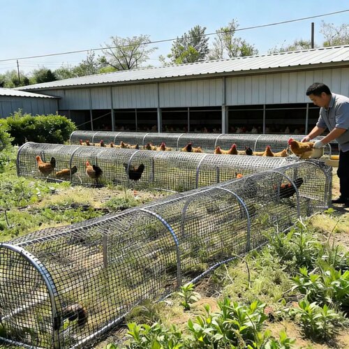 折叠款鸡笼隧道兔笼养鸡笼子庭院户外跑道农场溜达鸡舍养殖散养