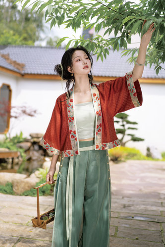 无贰集夏季貉袖短衫宋制汉服