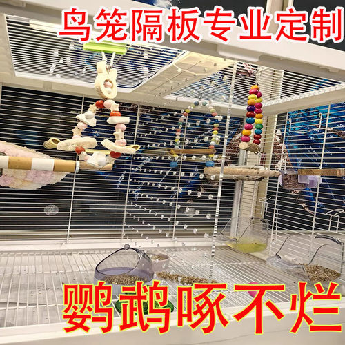 锦亚分透明亚克力防鹦鹉打架隔板