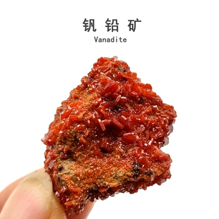 天然摩洛哥钒铅矿物晶体白铅矿重晶石猫矿原石头地质科普教学标本