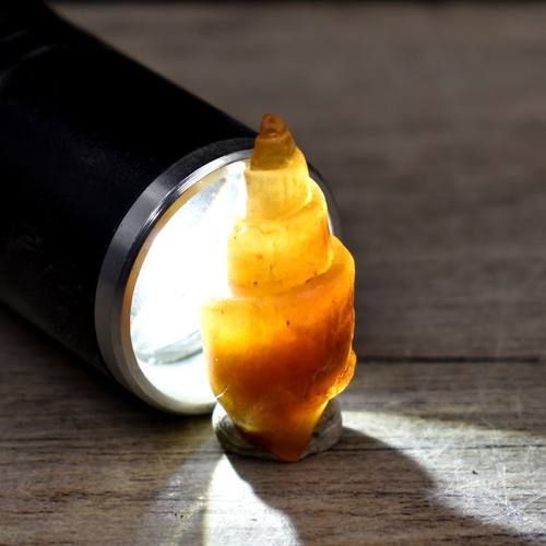 天古生物然玛瑙质化石教学标本