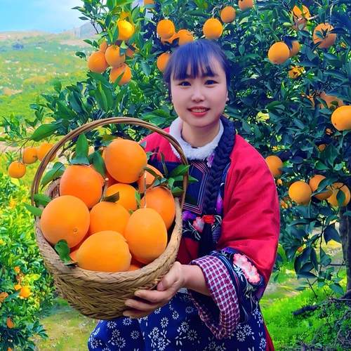 湖南特产脐橙产地新鲜现摘清甜可口多汁