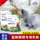 蓝鲸三代鹦鹉奶粉虎皮牡丹玄风幼鸟零天手养营养食物乳粉饲料雏鸟