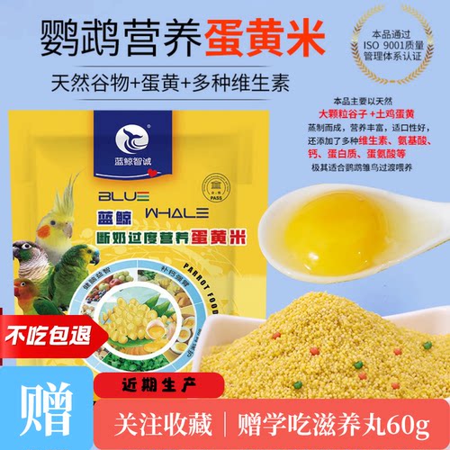 蓝鲸蛋小米高营养补钙