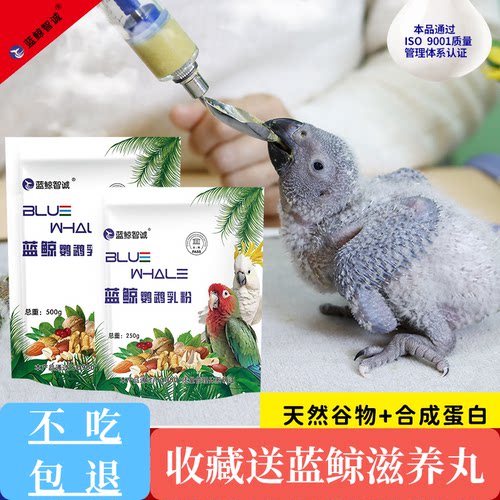蓝鲸三代鹦鹉奶粉虎皮牡丹玄风幼鸟零天手养营养食物乳粉饲料雏鸟