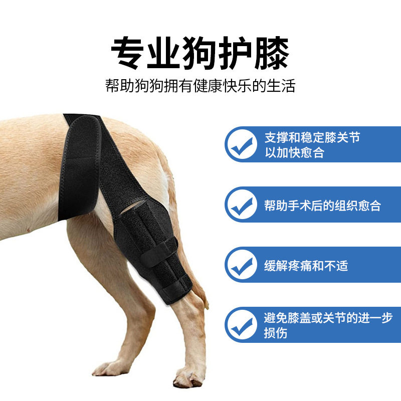 狗狗护膝髌骨防磨腿辅助带保护关节腿部骨折固定器宠物狗术后护具