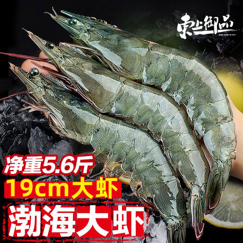 东上御品渤海大虾新鲜冷冻特大海虾青虾冻虾白虾基围虾一箱整批发