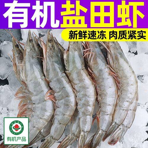 东上御品有机高品质盐田虾新鲜速冻气冻青虾对虾冷冻基围虾大虾p