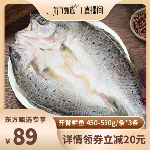 免处理 新鲜 条 开背鲈鱼450 3条 550g 东上御品