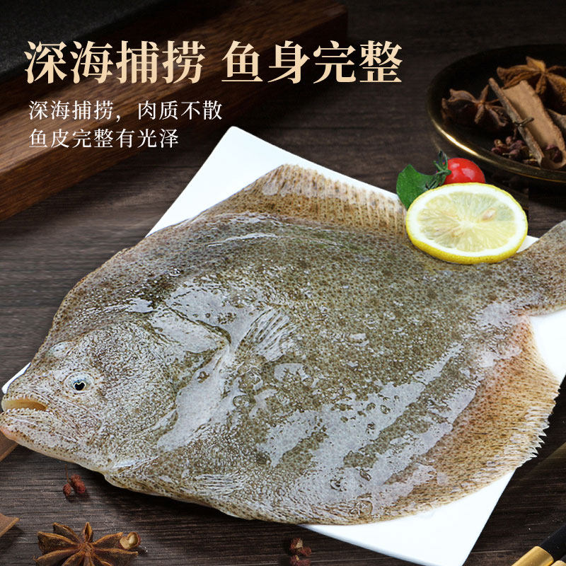 多宝鱼鲜活超大比目鱼新鲜鸦片鱼鲽鱼特大偏口海鱼八宝鱼海鲜水产