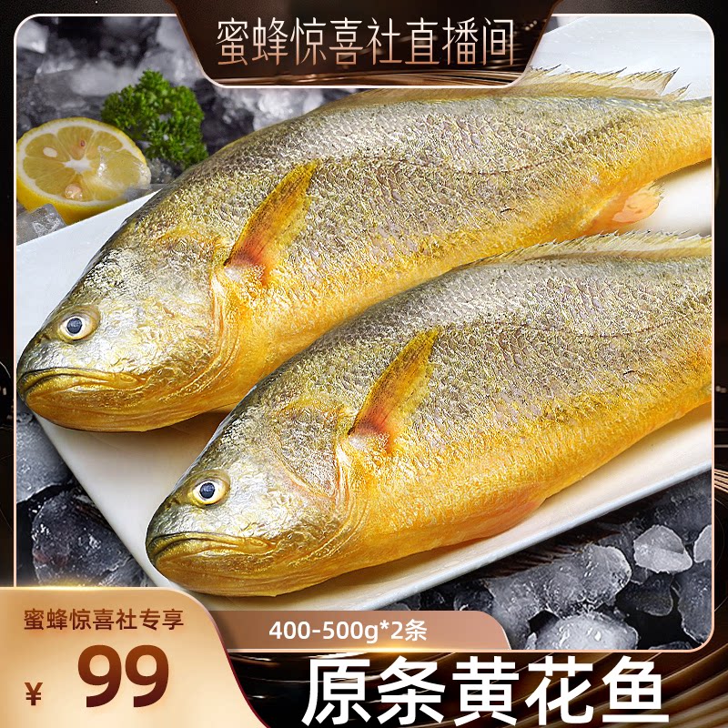 【魅力中国行-山东】大黄鱼40黄鱼