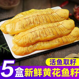 东上御品新鲜黄花鱼籽超大黄鱼卵鱼泡鱼子鱼肚鱼白鱼漂鱼蛋海鲜p