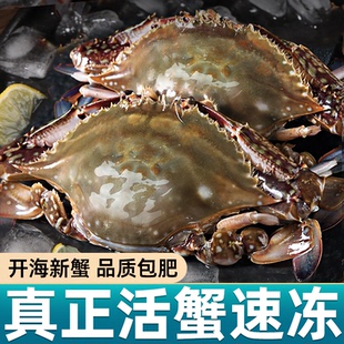 东上御品梭子蟹新鲜冷冻特大公蟹大螃蟹海鲜水产海蟹母蟹白蟹飞蟹