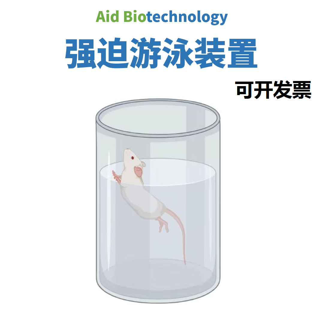 强迫游泳装置水箱生物实验行为学设备设计磨砂三箱社交行为箱定制
