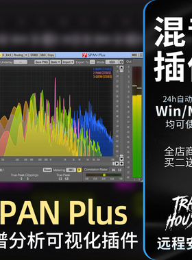 SPAN Plus 音频分析频谱可视化实时监测后期编曲混音效果器插件