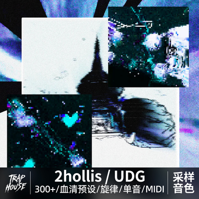 地下2hollis血清Serum预设包